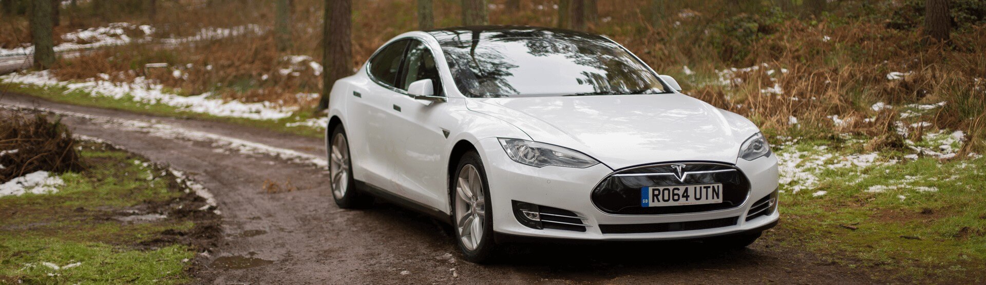 White Tesla Model S